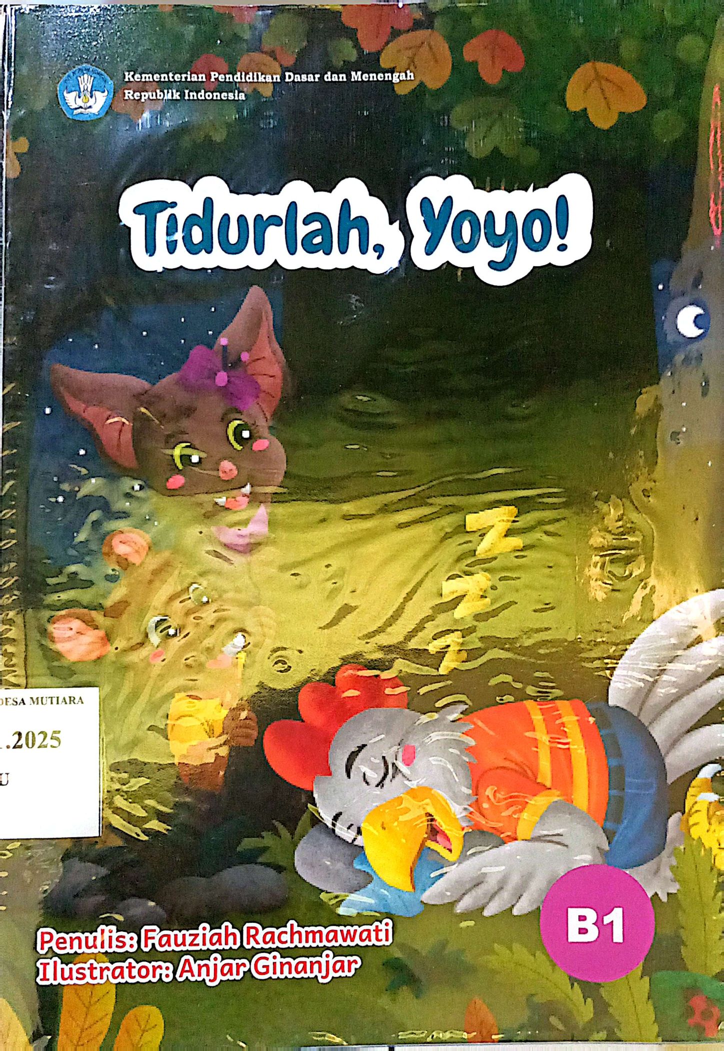 tidurlah, yoyo!